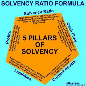 5 Pillars of Solvency for keeping a healthy Solvency Ratio Formula infographic